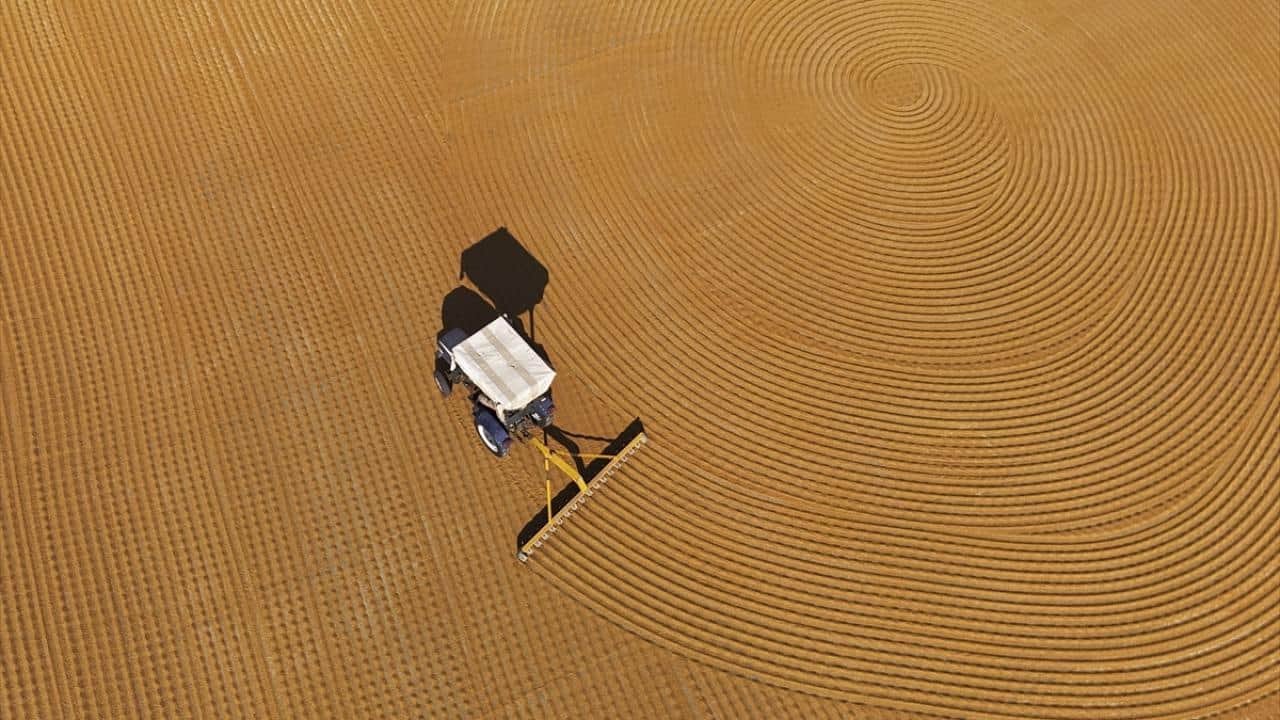 Foto - Buğdayın bulgura yolculuğu… Adeta sanat eseri!