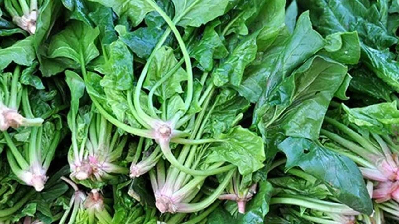 Foto - Bugün ne pişirsem? Ispanaklı kol böreği tarifi ve püf noktası: Pişirirken muhteşem lezzetini 10 kat artırıyor