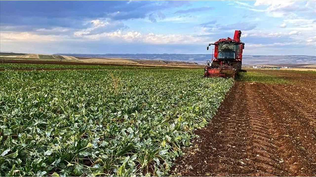 Foto - Bugün resmen başladı! Haberi duyan, hemen e-Devlet’ini açıp bakıyor