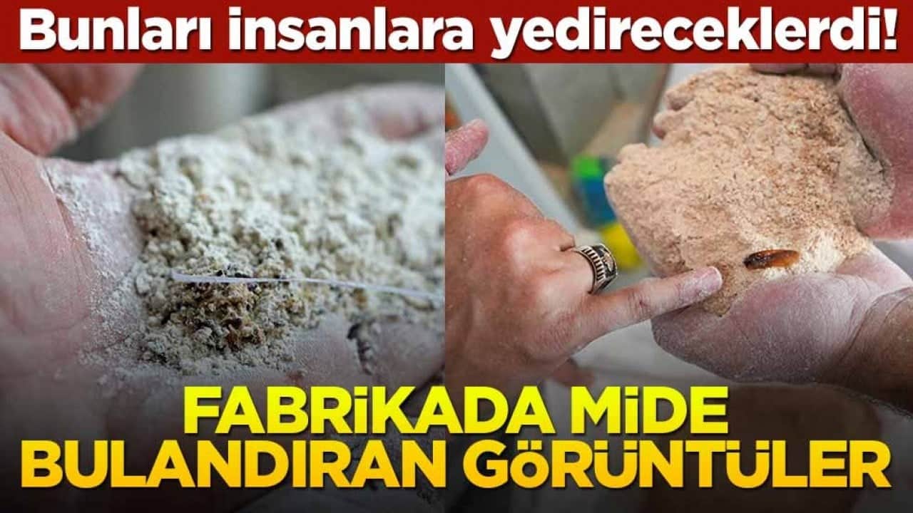 Bunları insanlara yedireceklerdi! Fabrikada mide bulandıran görüntüler