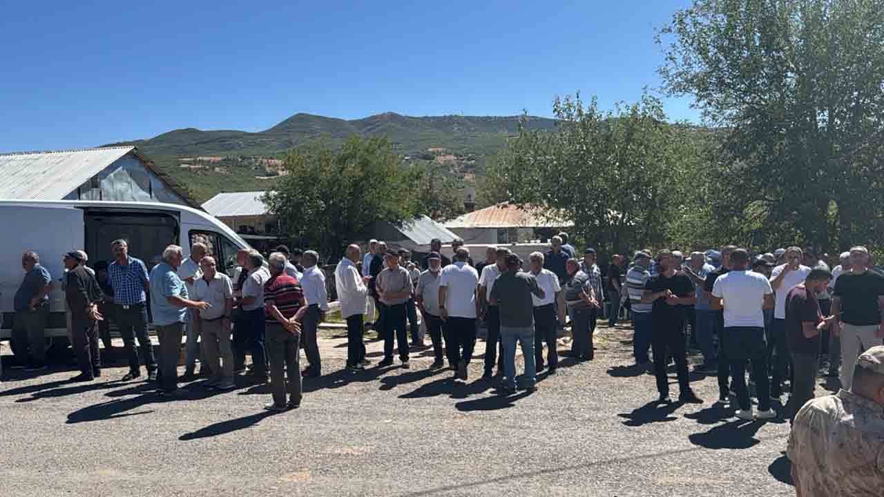 Foto - Bunu yapan insan olamaz!: Korkunç gerçek otopside ortaya çıktı