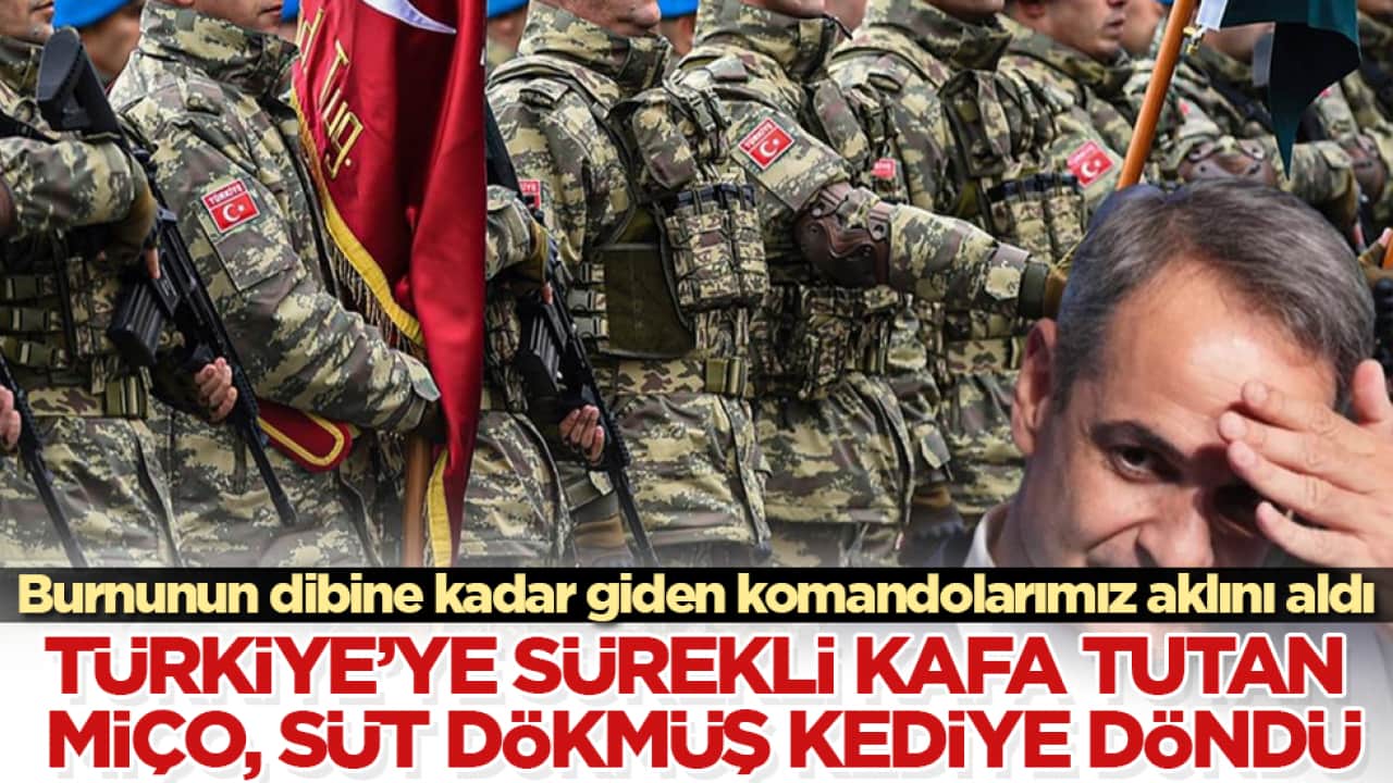 Burnunun dibine kadar giden komandolarımız aklını aldı! Türkiye’ye sürekli kafa tutan Miço, süt dökmüş kediye döndü