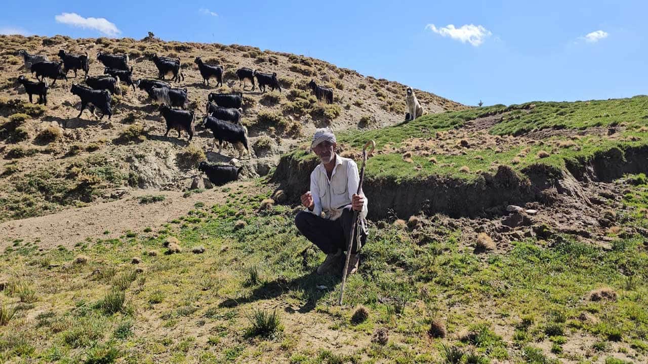 Foto - Bursa'daki ekonomik krizden kaçtı! Köyüne dönüp 2 bin 500 rakımlı dağlarda yeniden hayata tutundu!