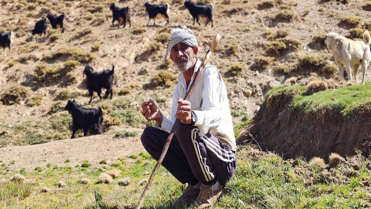 Bursa'daki ekonomik krizden kaçtı! Köyüne dönüp 2 bin 500 rakımlı dağlarda yeniden hayata tutundu!