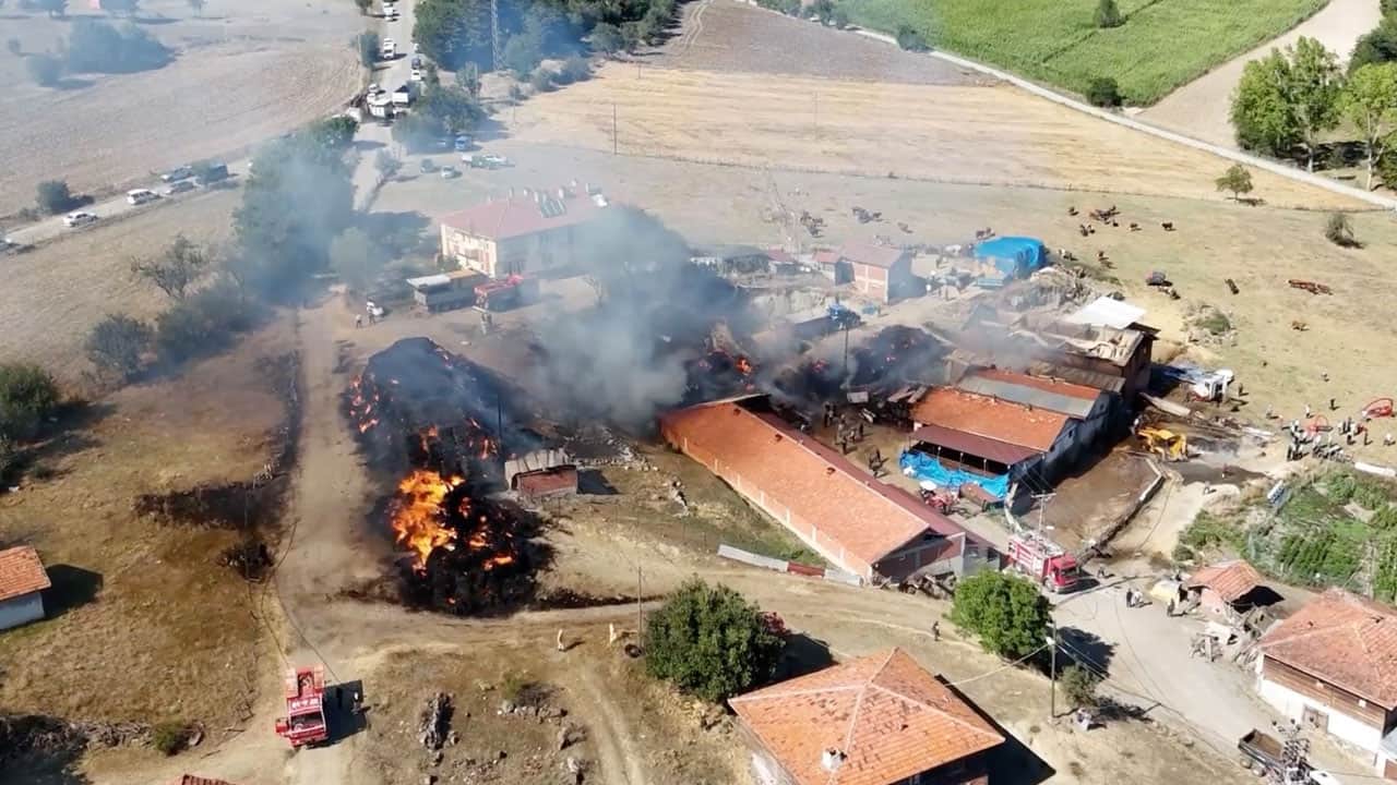 Foto - Bütün köy yanıyordu! Samanlıkta başladı ahırlara sıçradı: 14 büyükbaş telef oldu