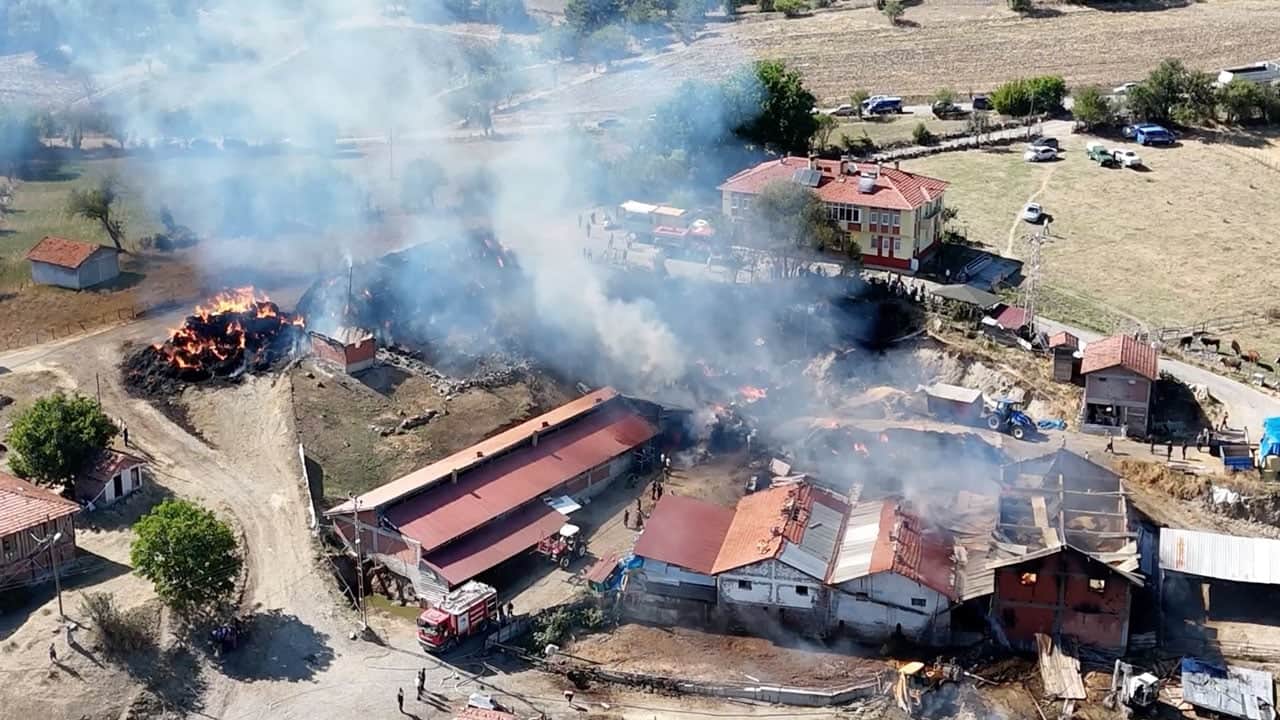 Bütün köy yanıyordu! Samanlıkta başladı ahırlara sıçradı: 14 büyükbaş telef oldu