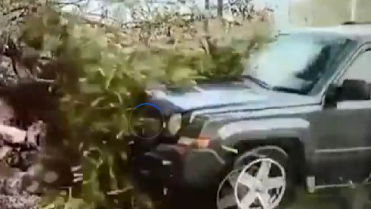 Foto - Bütün ülke canlı izledi: Haber yapan muhabire araba çarptı!