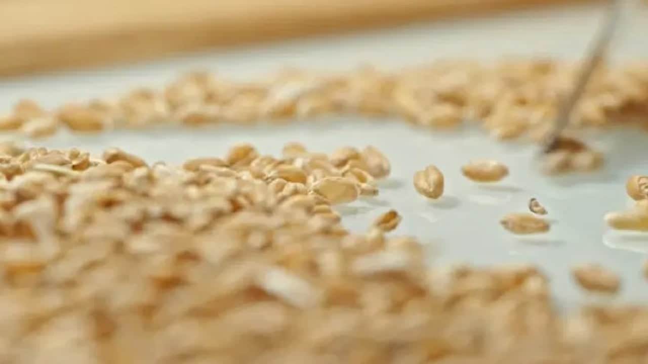 Buzdolabındaki kokuyu yok etmenin basit yolu! 1 kase koymak yetiyor