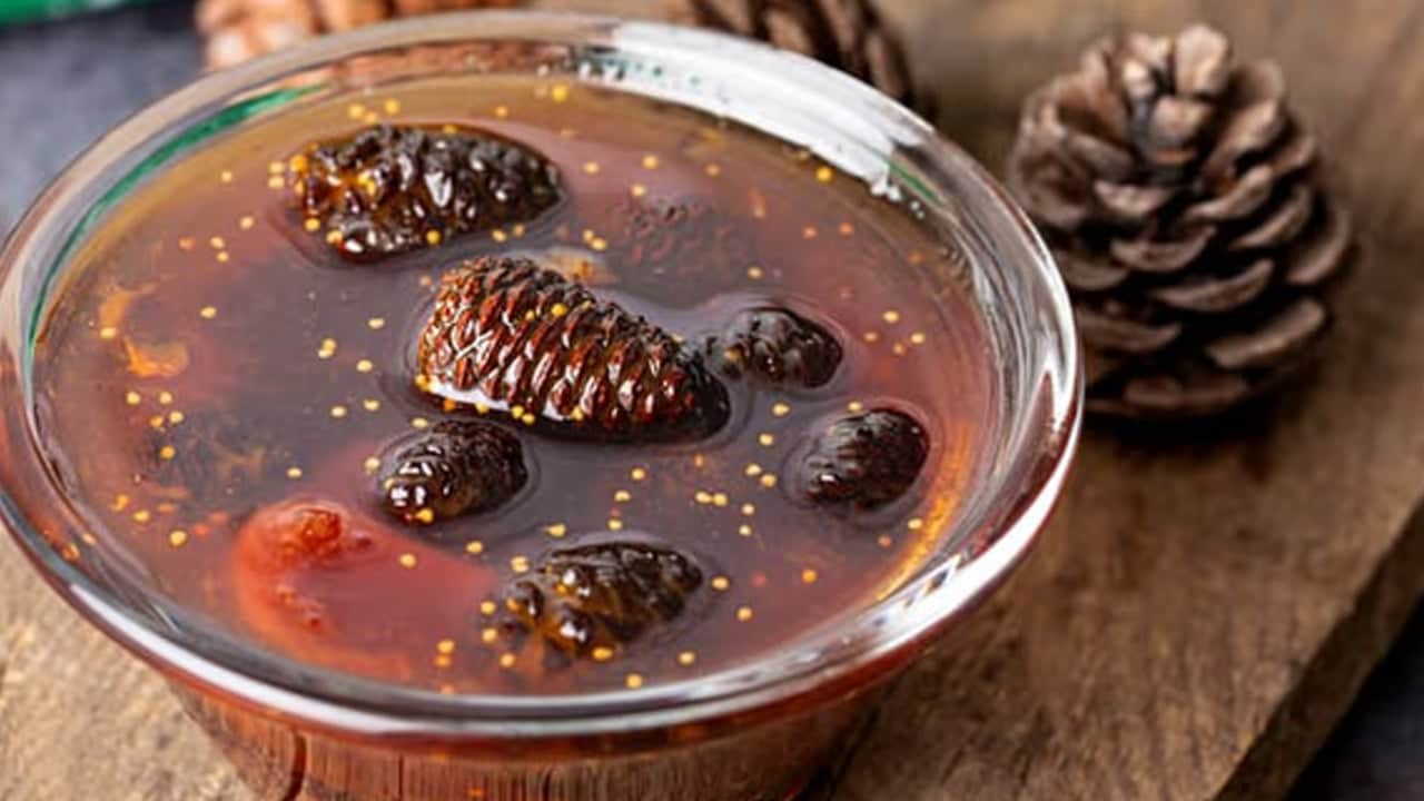 Çam kozalağı suyunun gizli gücü: Bilinmeyen mucizeleri, ciddi sonuçları var... Şaşırtan etkileriyle sonuç muhteşem! 
