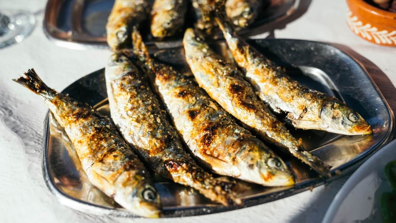 Foto - Çanakkale Kültür Yolu Festivali ile tarih, sanat ve lezzet aynı rotada buluşuyor...