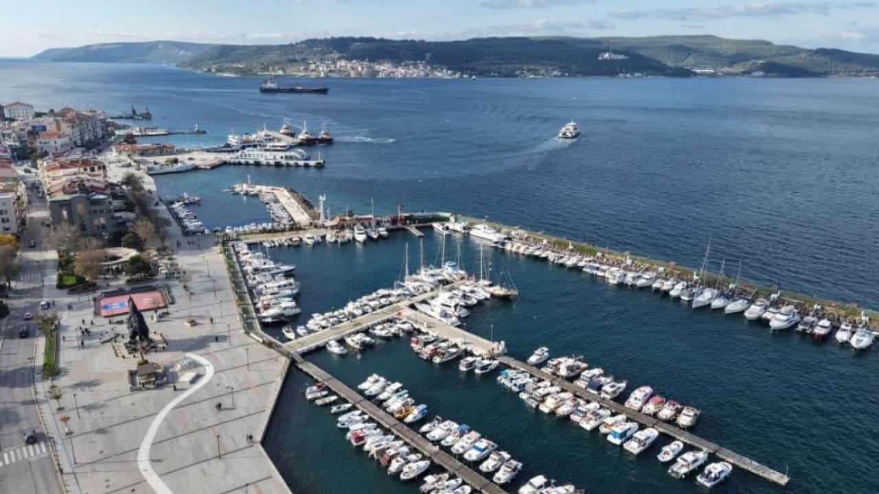 Foto - Çanakkale'de mavi denizanaları alarmı! Uzmanlardan kritik uyarı