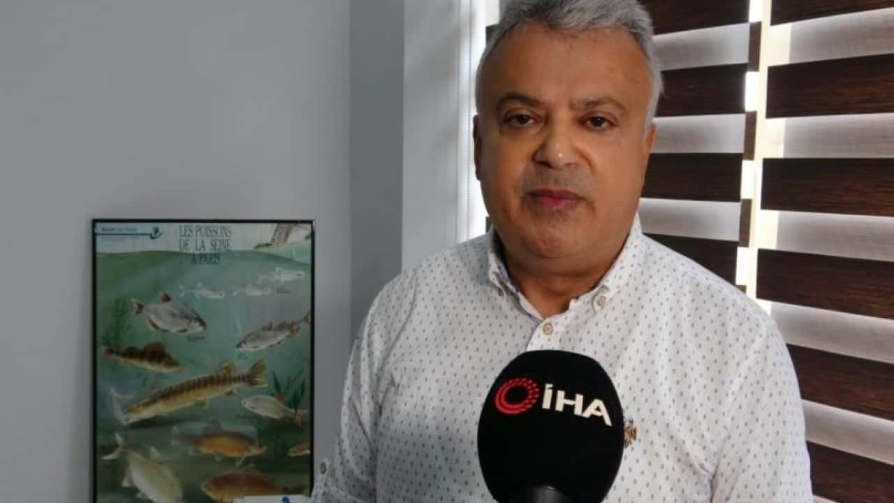 Foto - Çanakkale'de mavi denizanaları alarmı! Uzmanlardan kritik uyarı