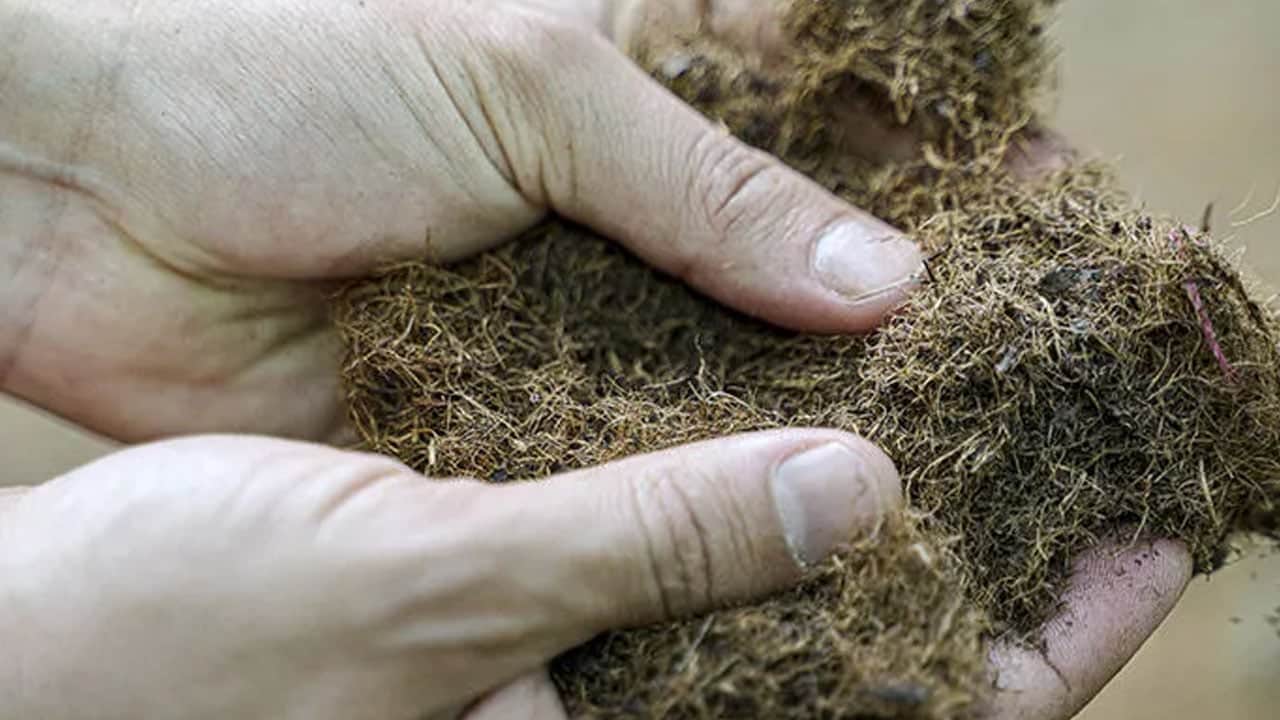 Foto - Çay ve kahve atıkları çöpe gitmiyor: 3D baskıyla yeni nesil tasarımlara dönüşüyor