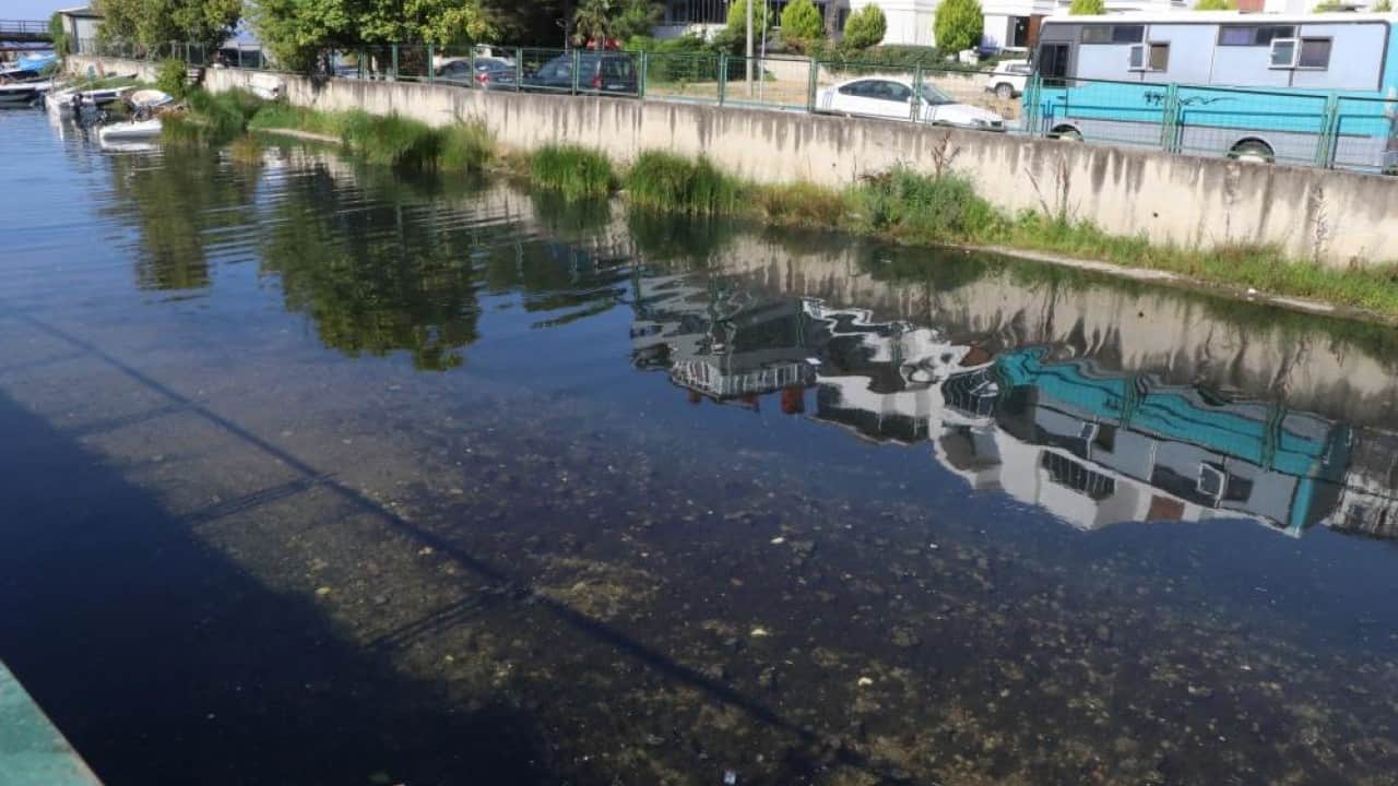 Foto - Çevre felaketine ceza yağdı Sonunda Çınarcık’ta deniz bitti!