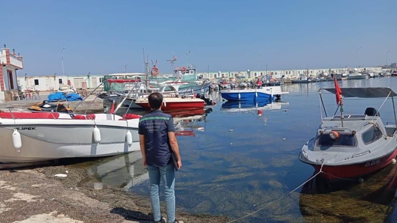 Foto - Çevre felaketine ceza yağdı Sonunda Çınarcık’ta deniz bitti!