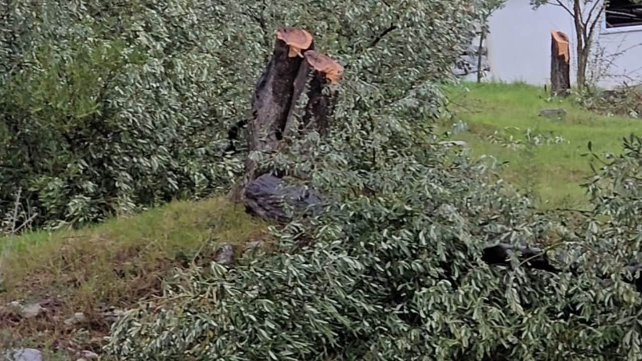 Foto - CHP zihniyetinin ikiyüzlülüğünü gözler önüne sermişti… Cezası belli oldu!