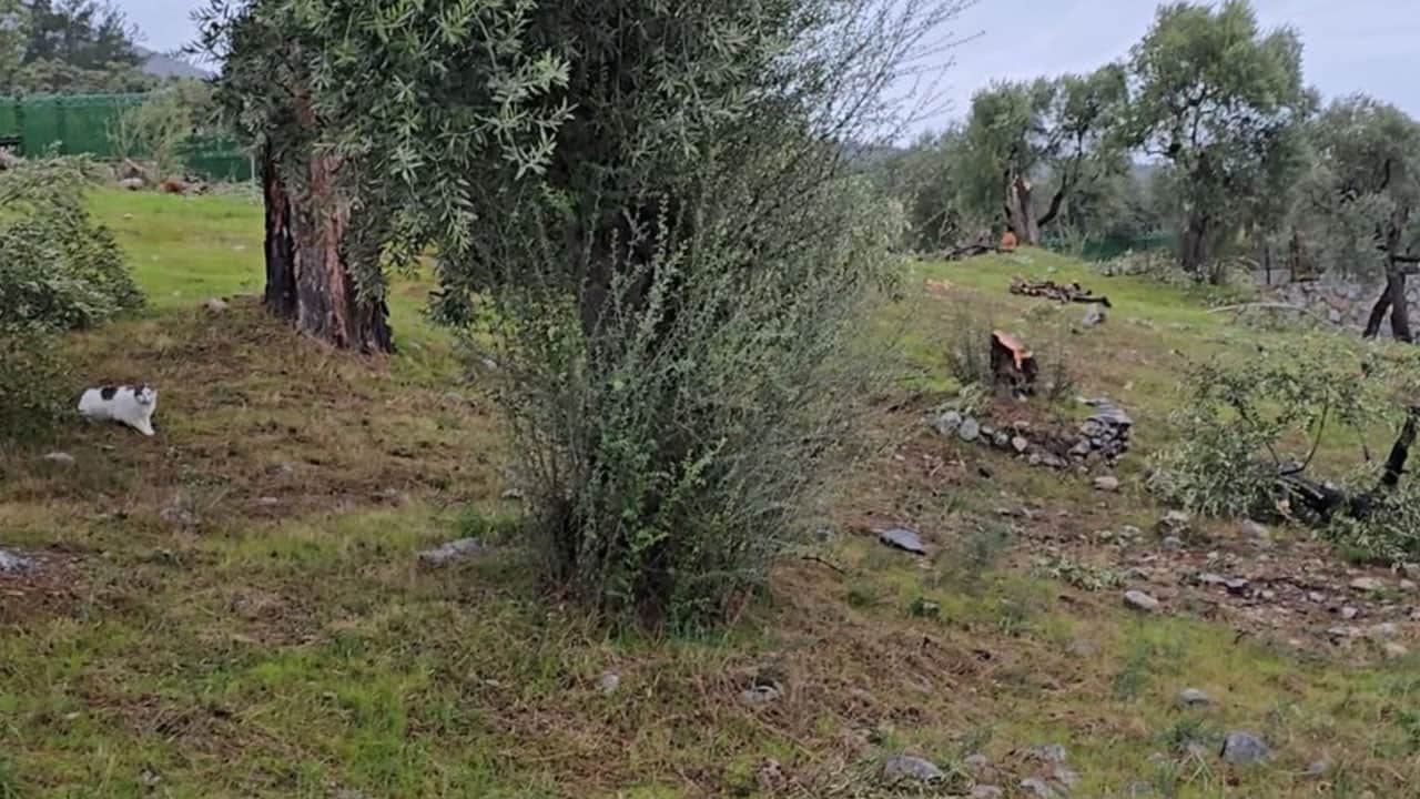 Foto - CHP zihniyetinin ikiyüzlülüğünü gözler önüne sermişti… Cezası belli oldu!