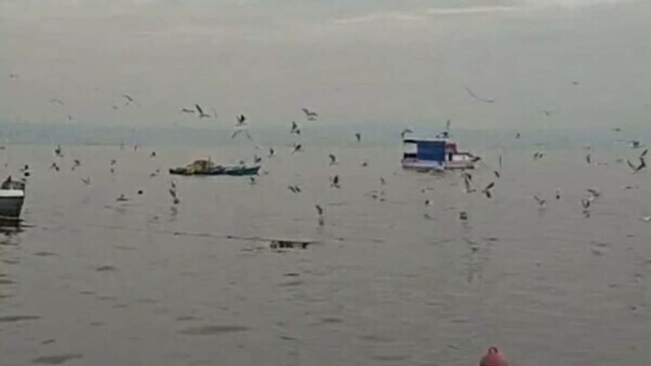 Foto - CHP'den görüşmemiş hizmet! İzmir Körfezi’ni kötü koku sardı