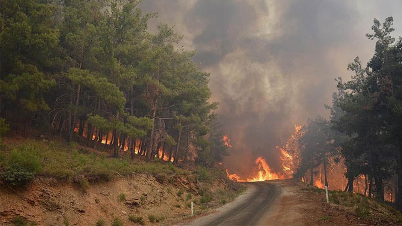Foto - CHP’lilerin ciğerini yakan övgü! Yangın uzmanlarından Türkiye itirafı