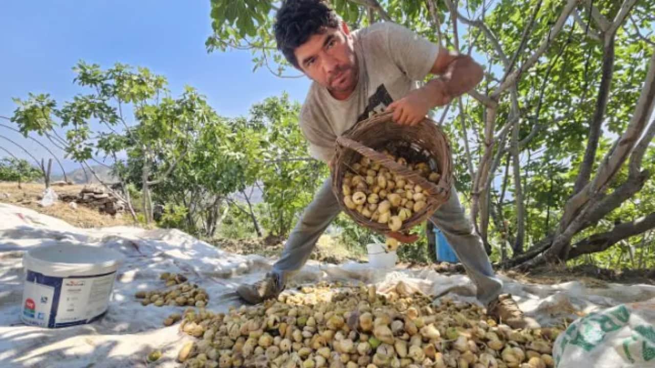 Foto - Çift kol nakli olmuştu! Aldığı haberle dünyası karardı!