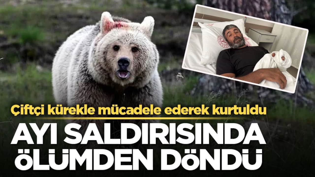Çiftçi kürekle mücadele ederek kurtuldu! Ayı saldırısında ölümden döndü