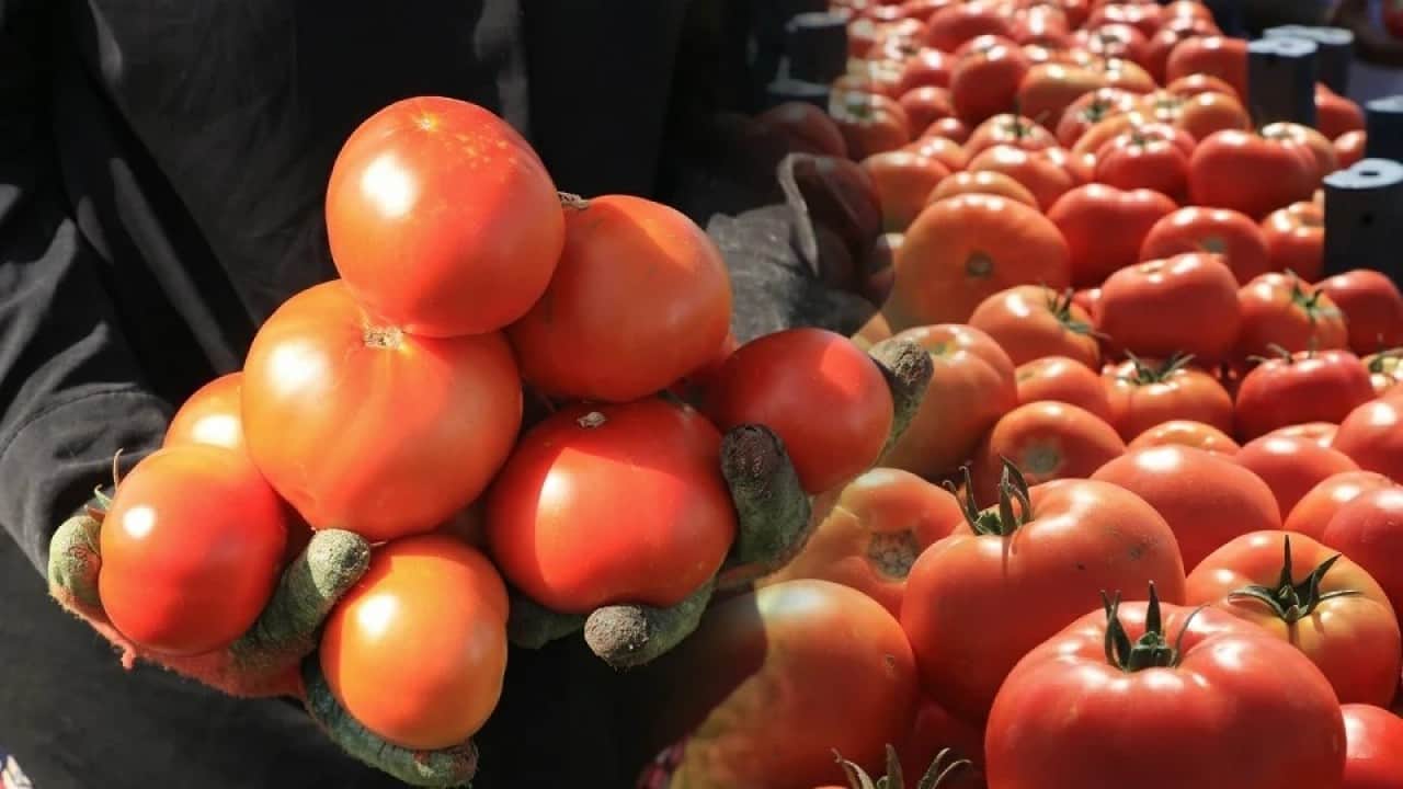 Foto - Çiftçilerden şok eden tehdit: Bir sene ekmeyiz