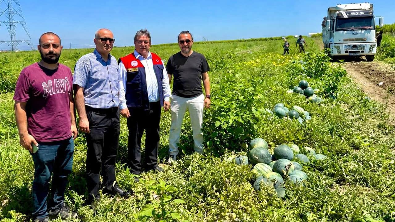 Foto - Çiftçinin ‘yüz güldüren’ yeni gözdesi: Sarı karpuz!