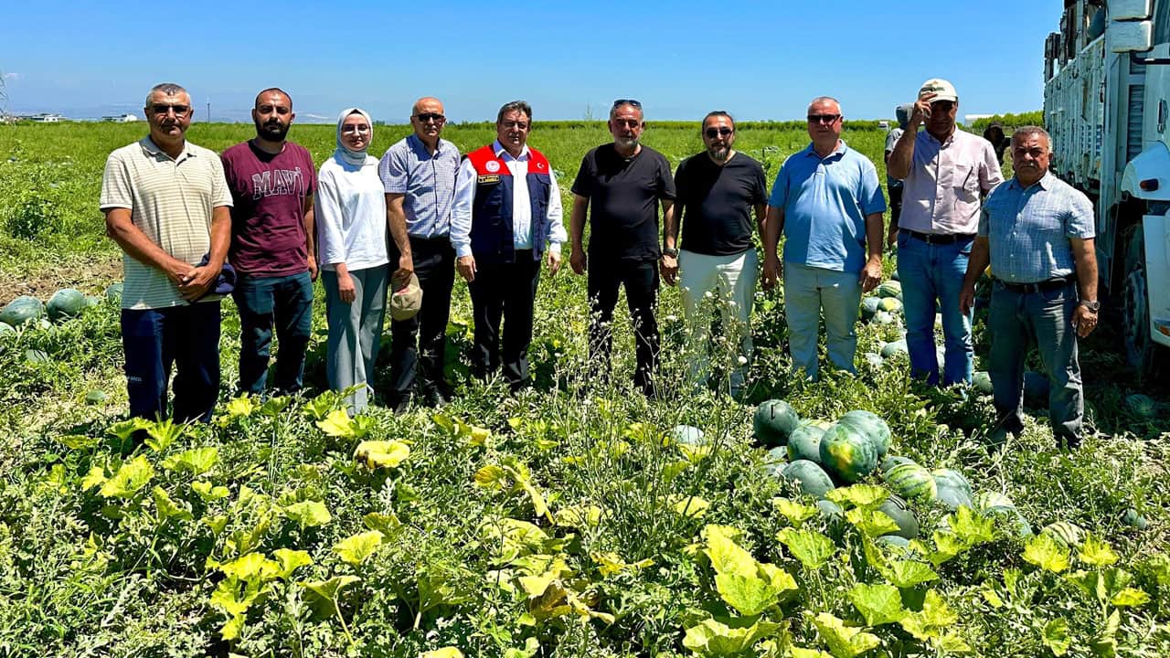 Foto - Çiftçinin ‘yüz güldüren’ yeni gözdesi: Sarı karpuz!