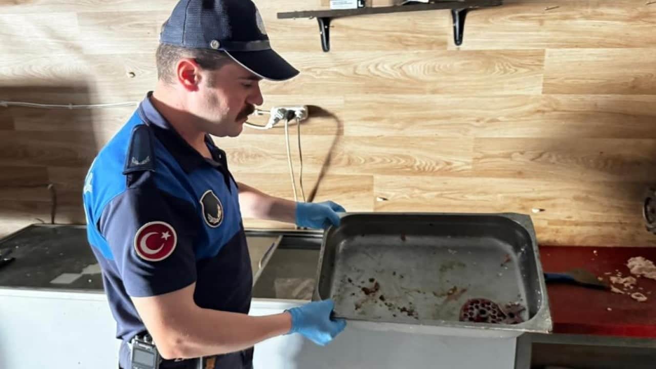 Foto - ‘Ciğeri beş para etmezler’ Bozuk ciğerleri vatandaşa yedireceklerdi
