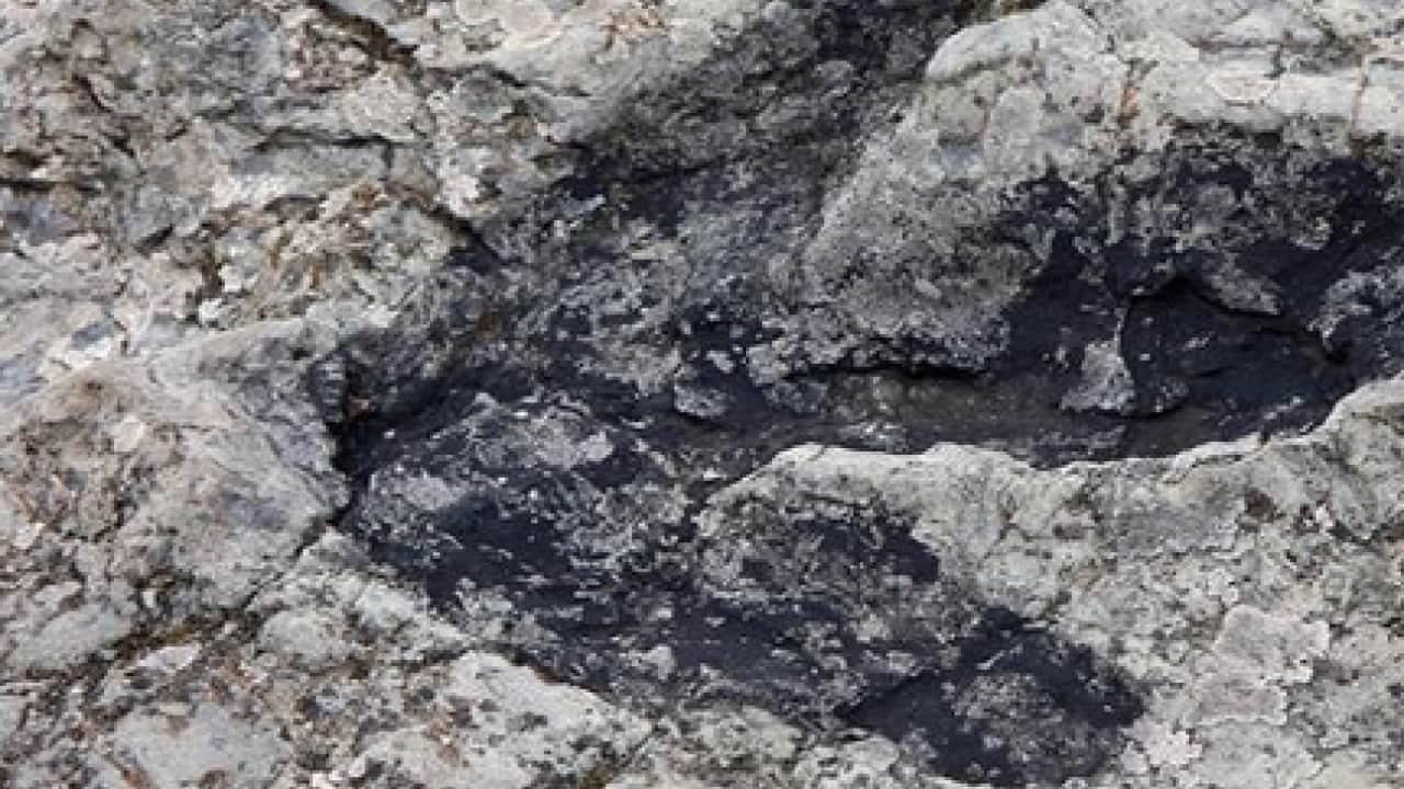 Foto - Çin yeni bir keşif yaptı, dinozor ayak izleri bulundu! Çin’in başarısı: Yaklaşık 200 milyon yıl öncesine ait