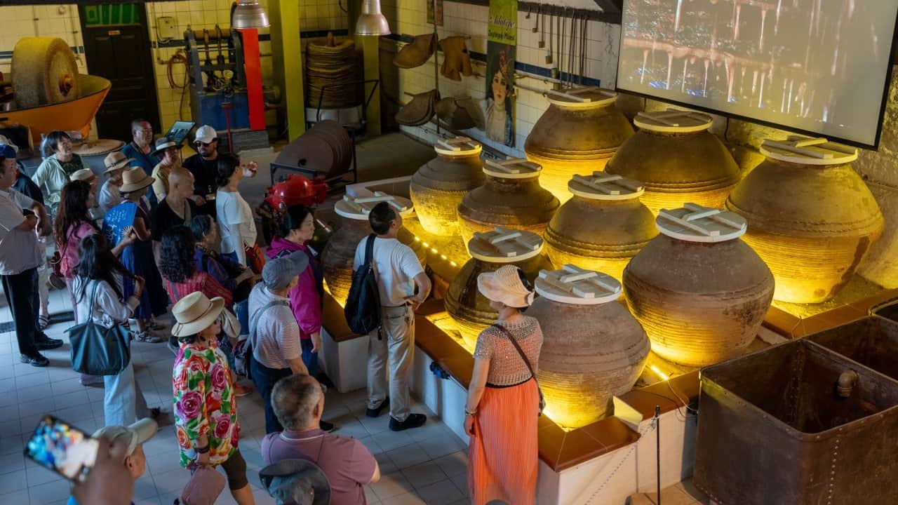 Foto - Çinli turistlerin Çanakkale'deki yeni gözdesi zeytinyağı oldu