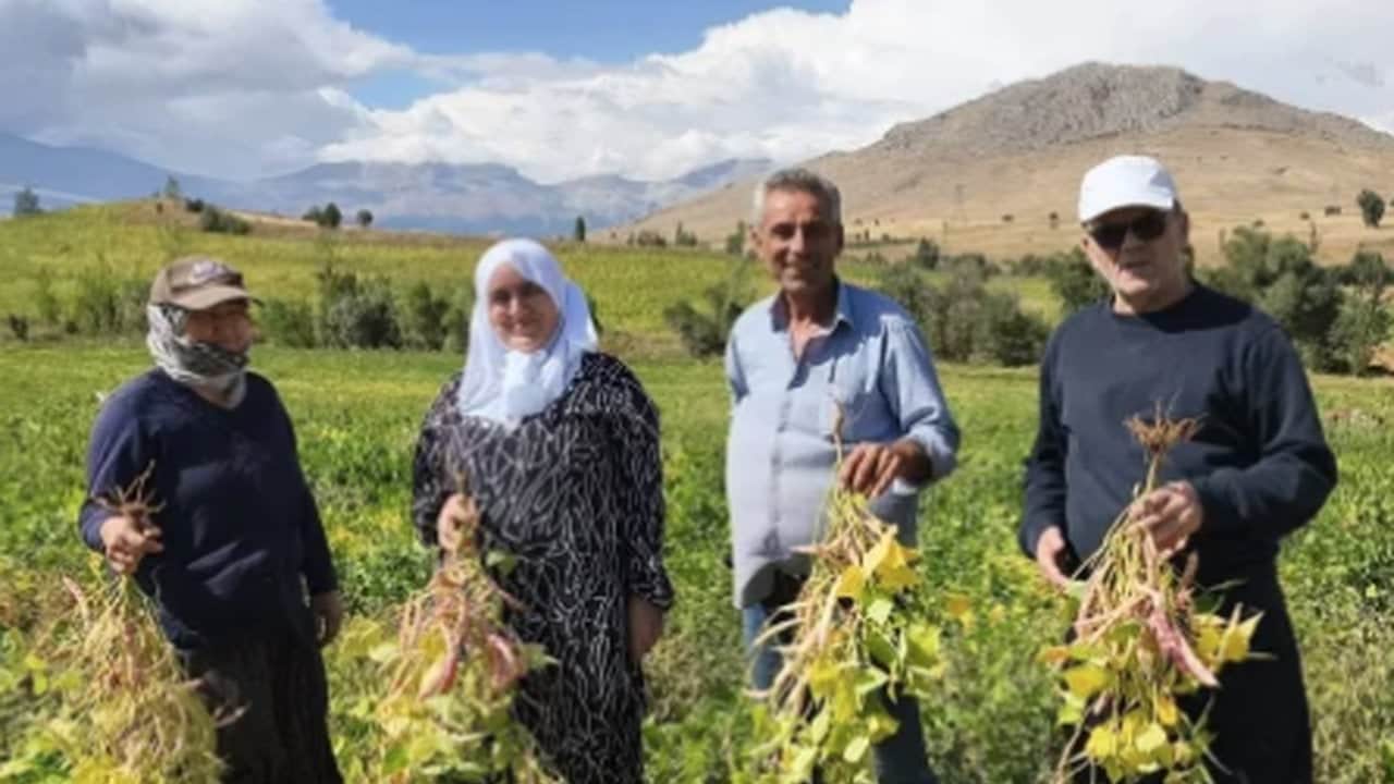 Foto - Coğrafi işaretli "beyaz altın" hasadı başladı: Kilosu 125 TL’den kapış kapış satılıyor
