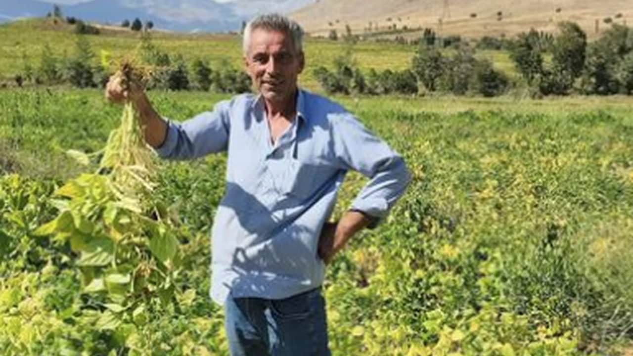 Foto - Coğrafi işaretli "beyaz altın" hasadı başladı: Kilosu 125 TL’den kapış kapış satılıyor