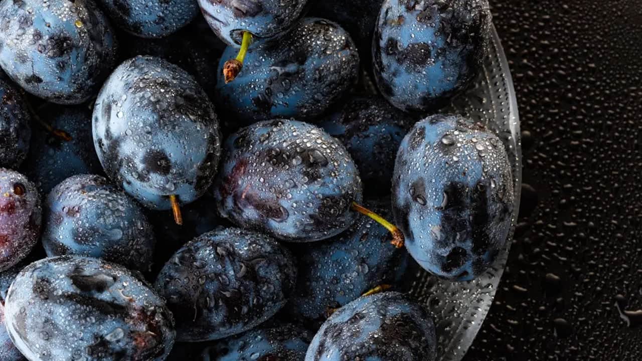 Foto - Çok az kişi biliyor: Mürdüm eriğini herkes yiyor ama.. Bilinmeyen gerçek faydası ortaya çıktı