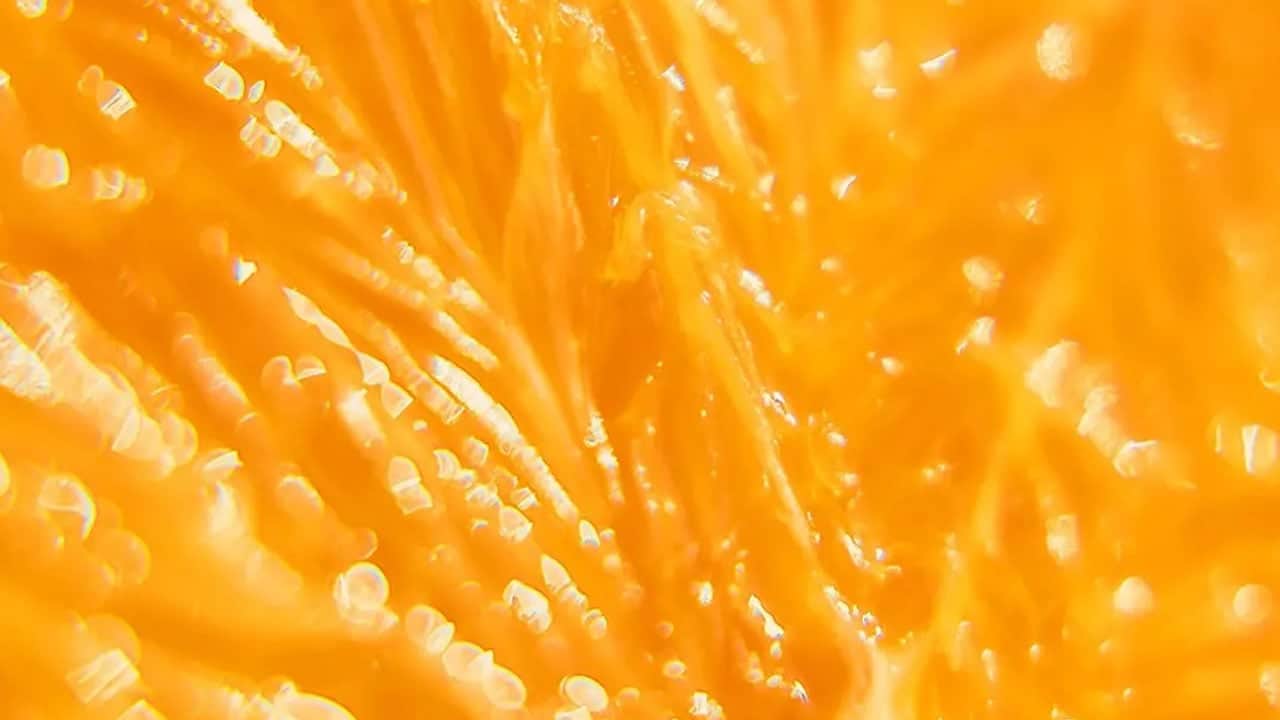 Foto - Çöp değil, 60 katı c vitamini zengini hazine: Demir ilaçlarının etkisini özellikle arttıran tek meyve...