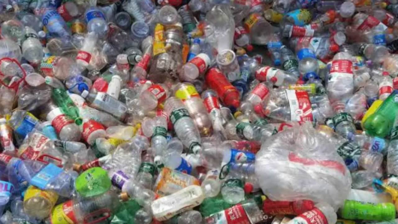 Çöp deyip geçmeyin: 2 yıl sabretti zengin oldu!