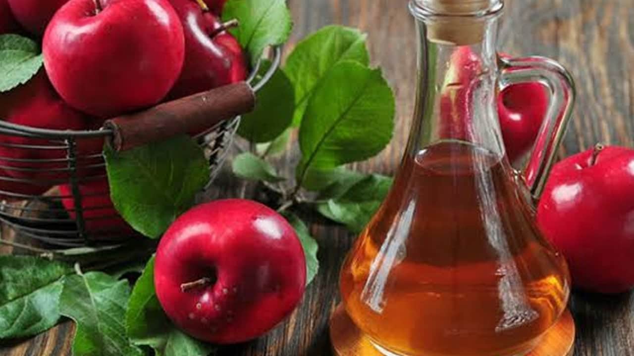 Foto - Çöplerden sirke ve yağ üretmeye başladılar: Bertaraf edilmesi sorun değil... Yüzde 70'inden fazlası yeniden kullanılıyor