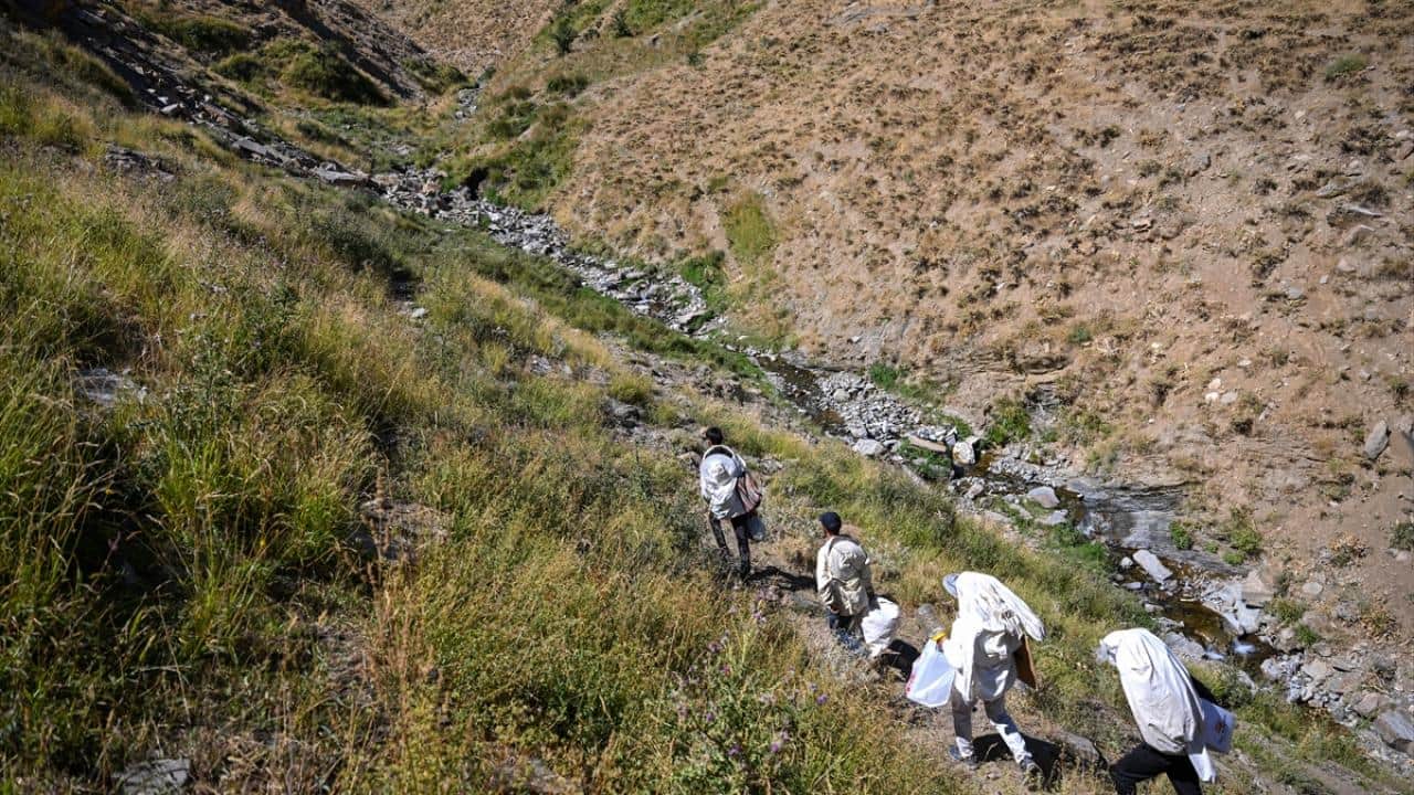 Foto - Dağları aşıyorlar! Ağaç kovuklarındaki doğal bala böyle ulaşıyorlar