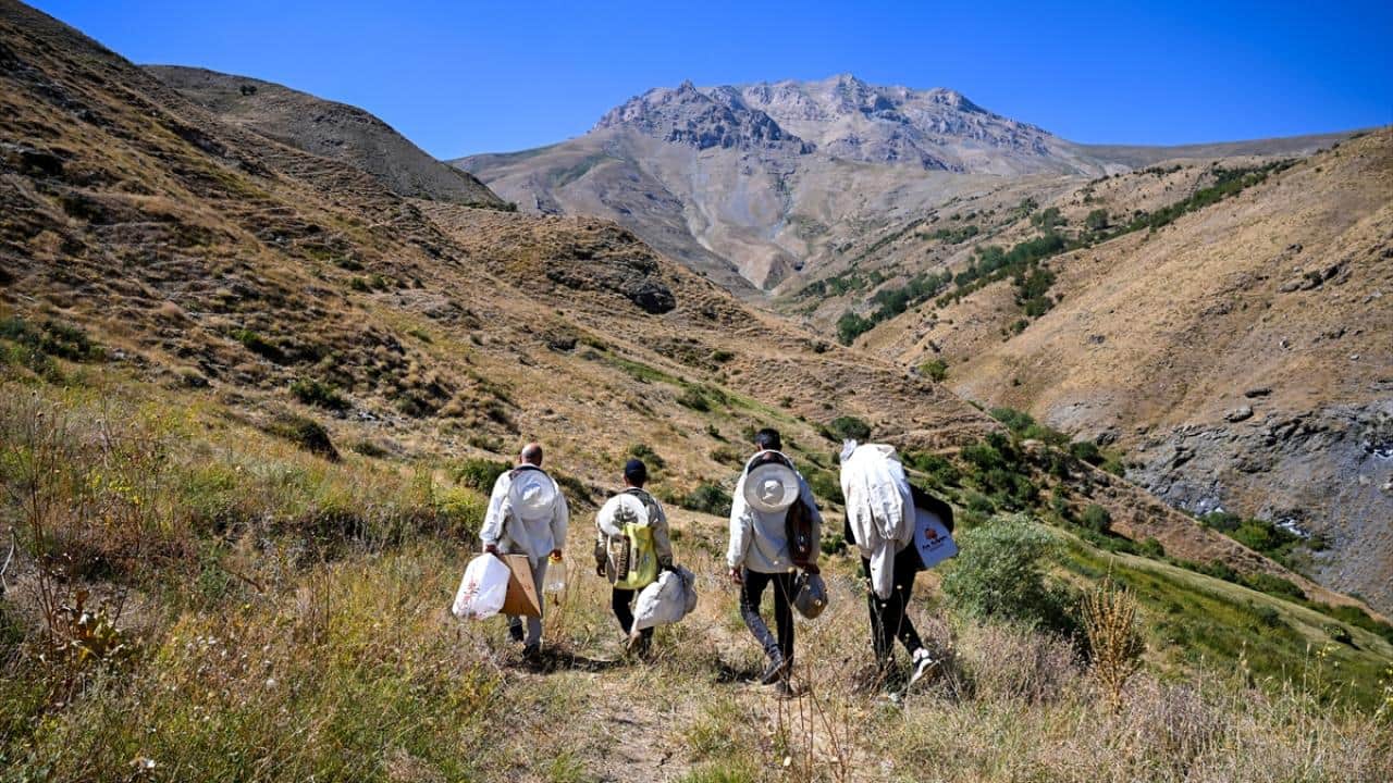 Foto - Dağları aşıyorlar! Ağaç kovuklarındaki doğal bala böyle ulaşıyorlar