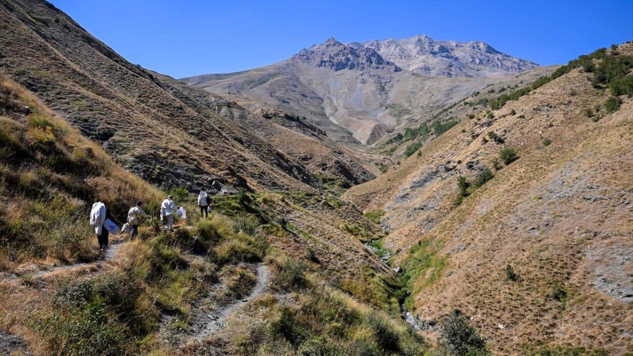 Foto - Dağları aşıyorlar! Ağaç kovuklarındaki doğal bala böyle ulaşıyorlar