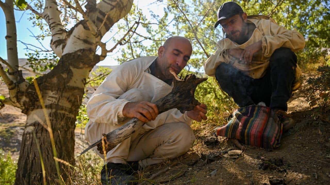 Foto - Dağları aşıyorlar! Ağaç kovuklarındaki doğal bala böyle ulaşıyorlar