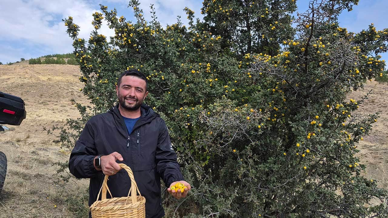 Dağların şifa deposu köylülerin yüzünü güldürdü! Her derde deva...