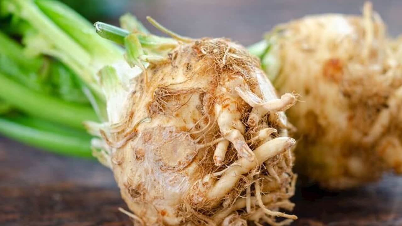 Foto - Kereviz ile bu yemek tek başına doyurucu oluyor! Büyük boy 1 dal yeter 