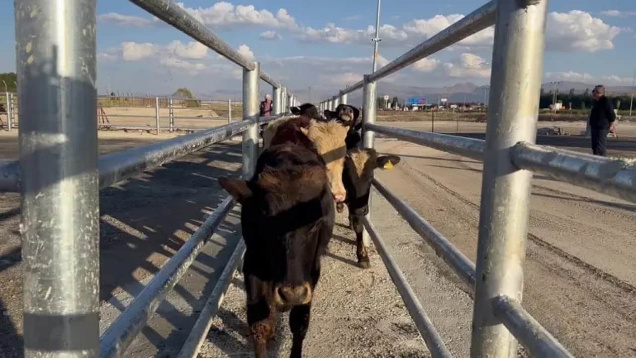Foto - Danimarka'nın sır dolu Erzurum planı: 93 yıllık belge ortaya çıktı