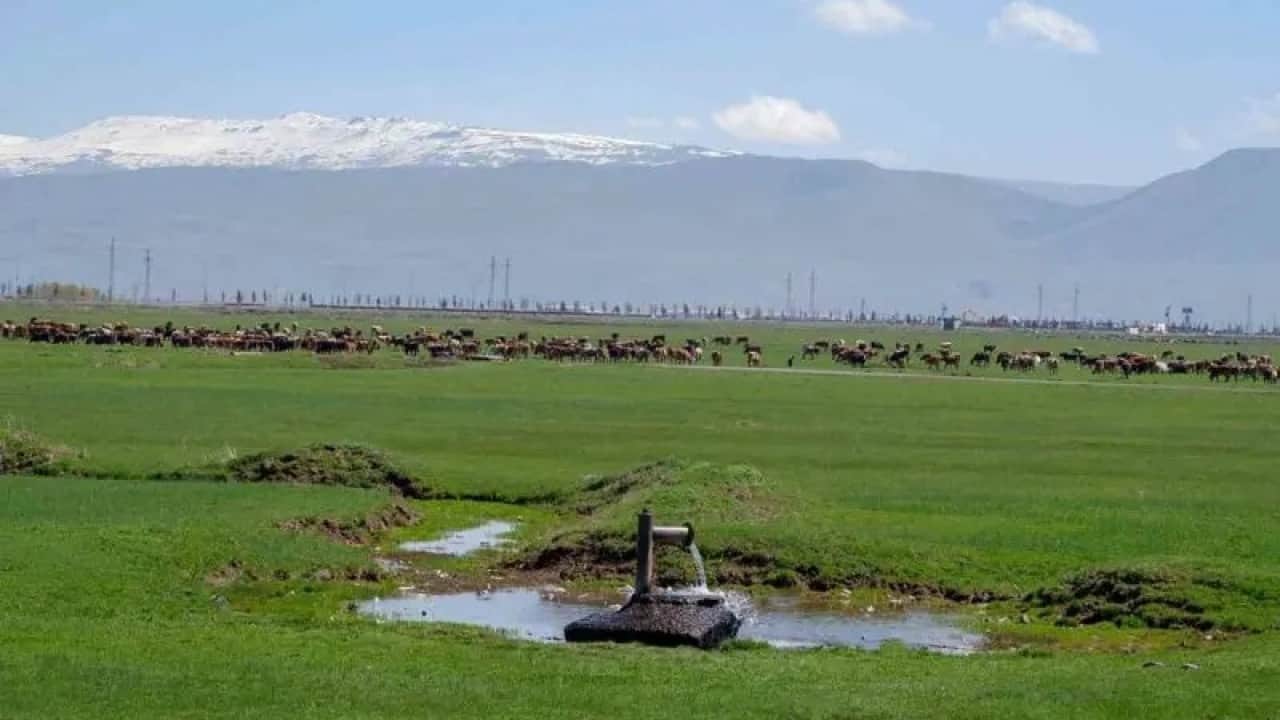 Foto - Danimarka'nın sır dolu Erzurum planı: 93 yıllık belge ortaya çıktı