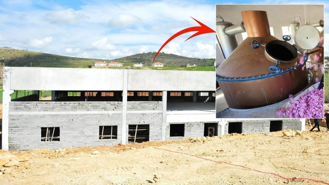 "Deli misin?" diyenlere fabrikayla cevap verdi! Ünlü sanatçı, arabalarını ve evlerini satıp 78 haneli köyüne yatırdı