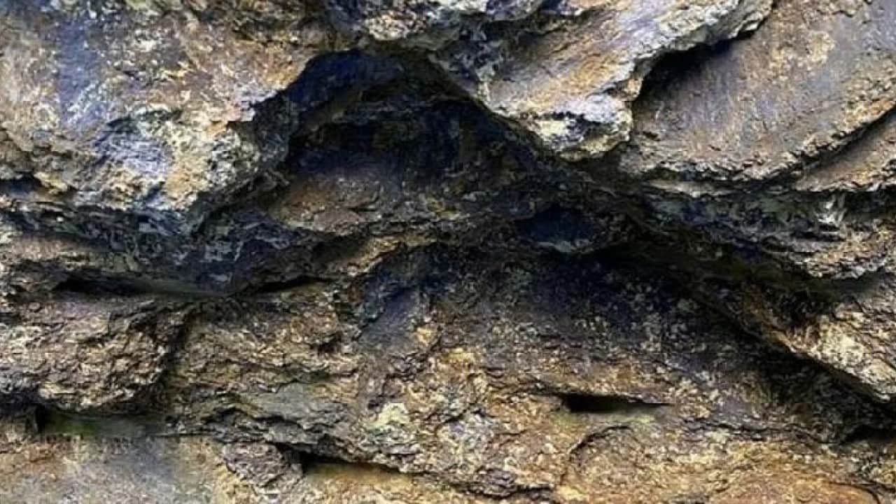 Foto - Denizin altında 780 yıl yetecek rezerv bulunmak üzere! Herkes 'eğer öyleyse Türkiye zengin olmuş' diyor