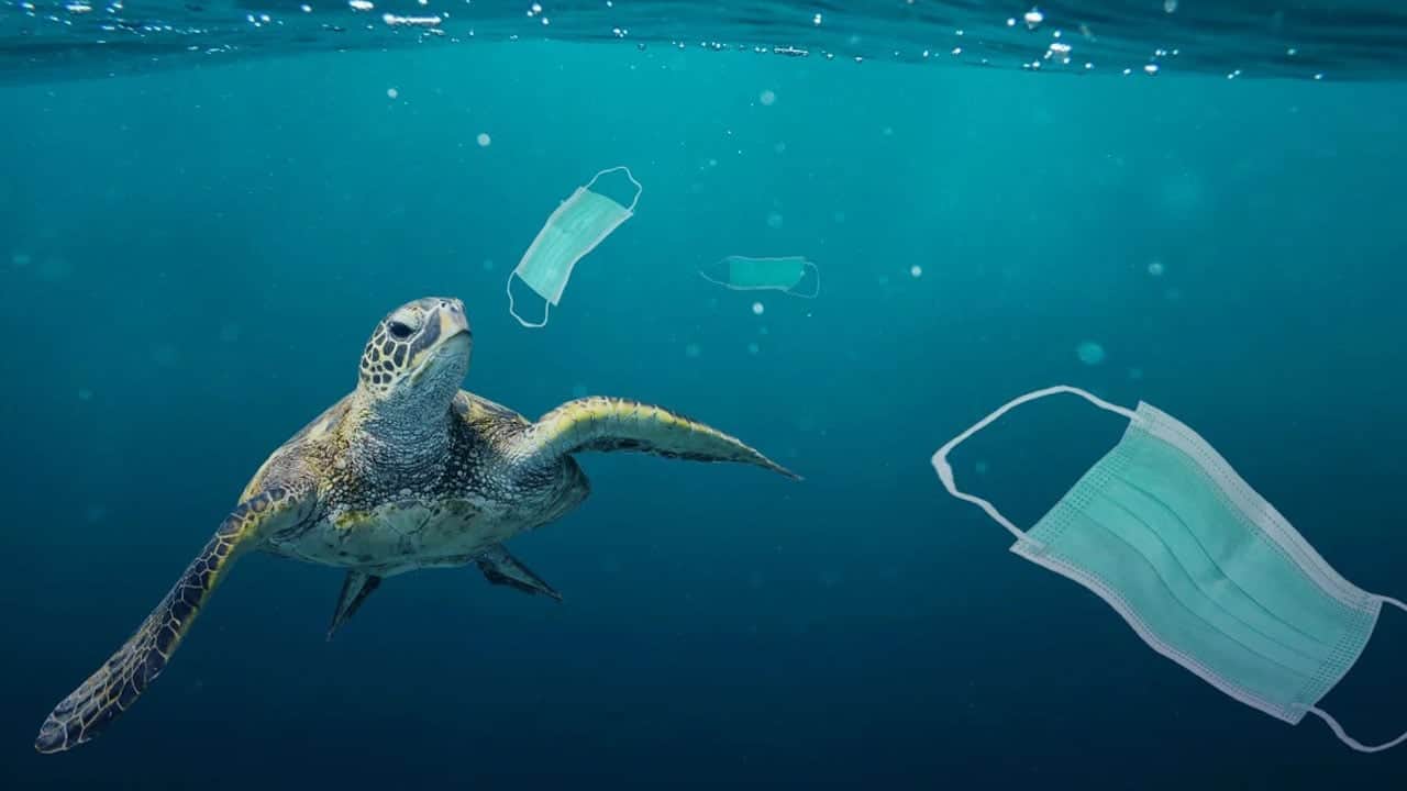 Foto - Denizin dibinde unutulan tehlike! Her yıl 500 ton plastik çıkıyor