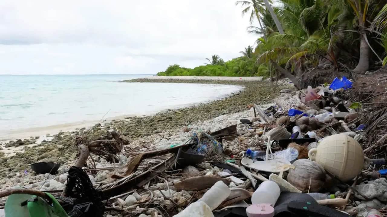 Foto - Denizin dibinde unutulan tehlike! Her yıl 500 ton plastik çıkıyor
