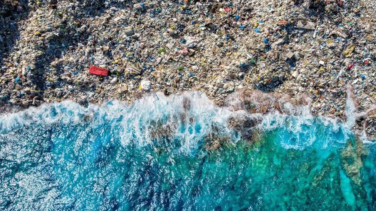 Foto - Denizin dibinde unutulan tehlike! Her yıl 500 ton plastik çıkıyor